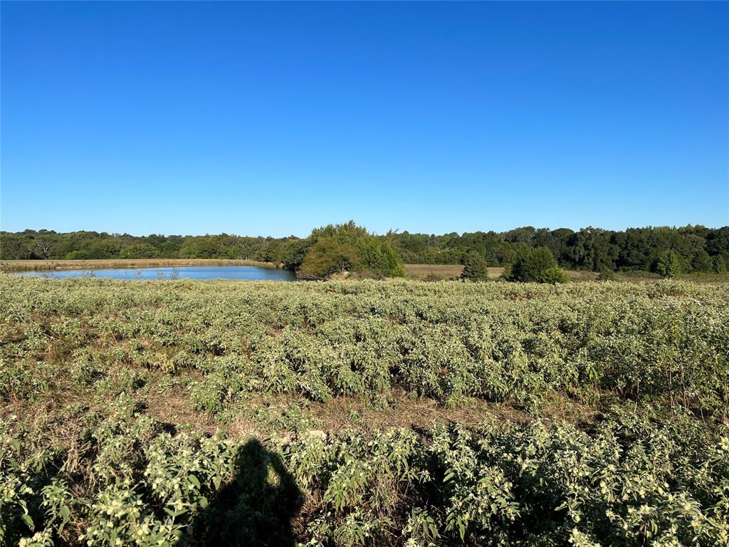 1111 Vz County Road 1107 Property Photo 1