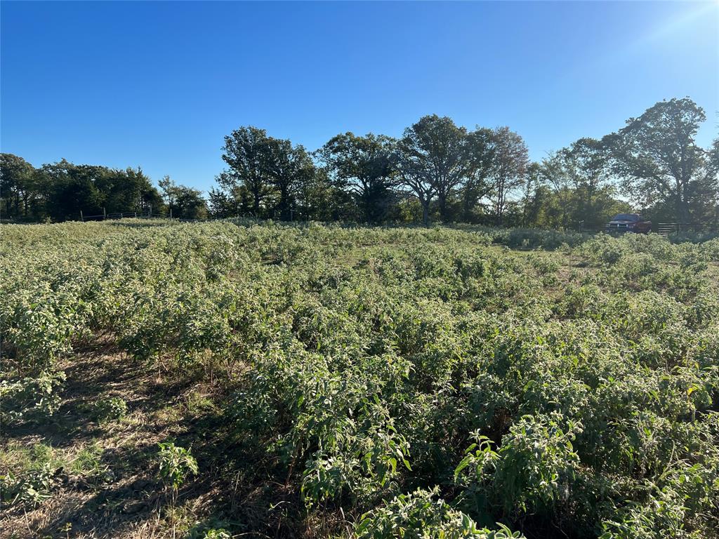 1111 Vz County Road 1107 Property Photo 2