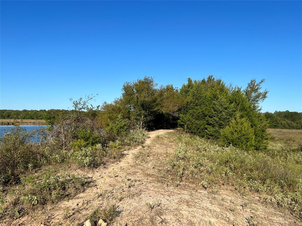 1111 Vz County Road 1107 Property Photo 6