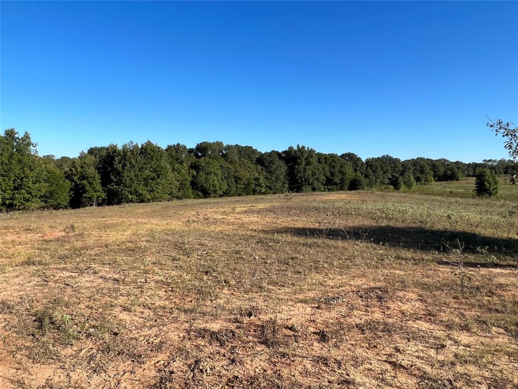 1111 Vz County Road 1107 Property Photo 14