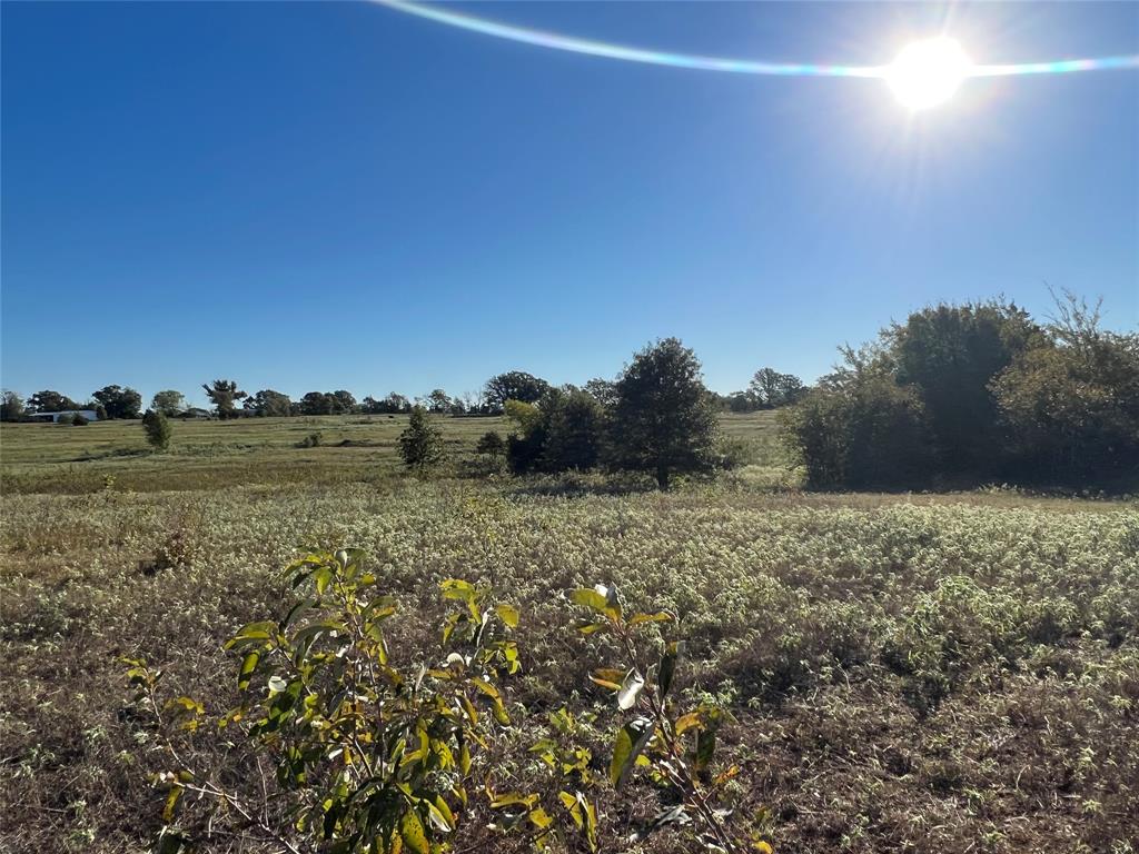 1111 Vz County Road 1107 Property Photo 15