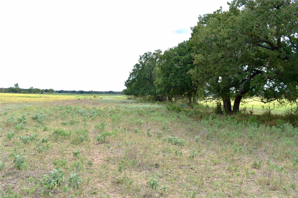 Tbd Hwy 6 W Property Photo 16