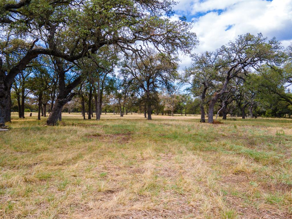 920 Blackbuck Ridge Drive Property Photo 2