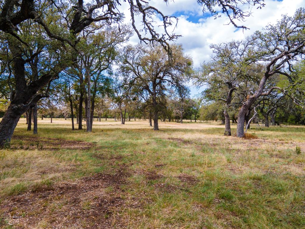 920 Blackbuck Ridge Drive Property Photo 3