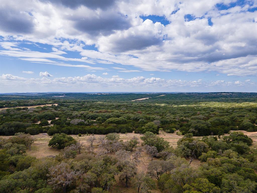 920 Blackbuck Ridge Drive Property Photo 8