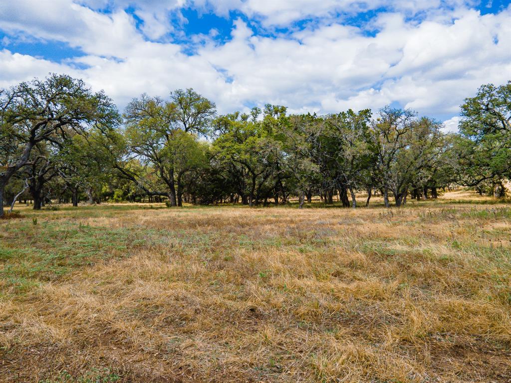 920 Blackbuck Ridge Drive Property Photo 15