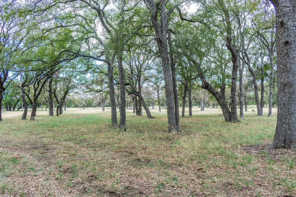 920 Blackbuck Ridge Drive Property Photo 16