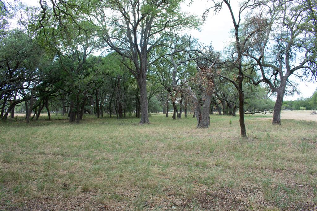 920 Blackbuck Ridge Drive Property Photo 17
