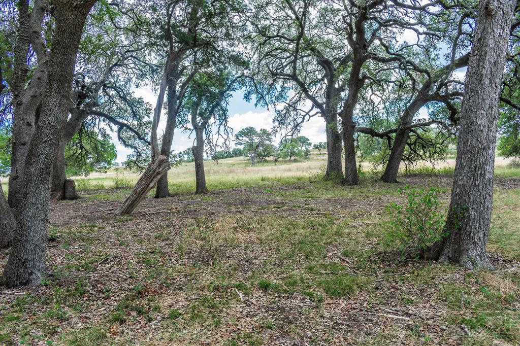 920 Blackbuck Ridge Drive Property Photo 18