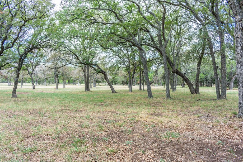 920 Blackbuck Ridge Drive Property Photo 19