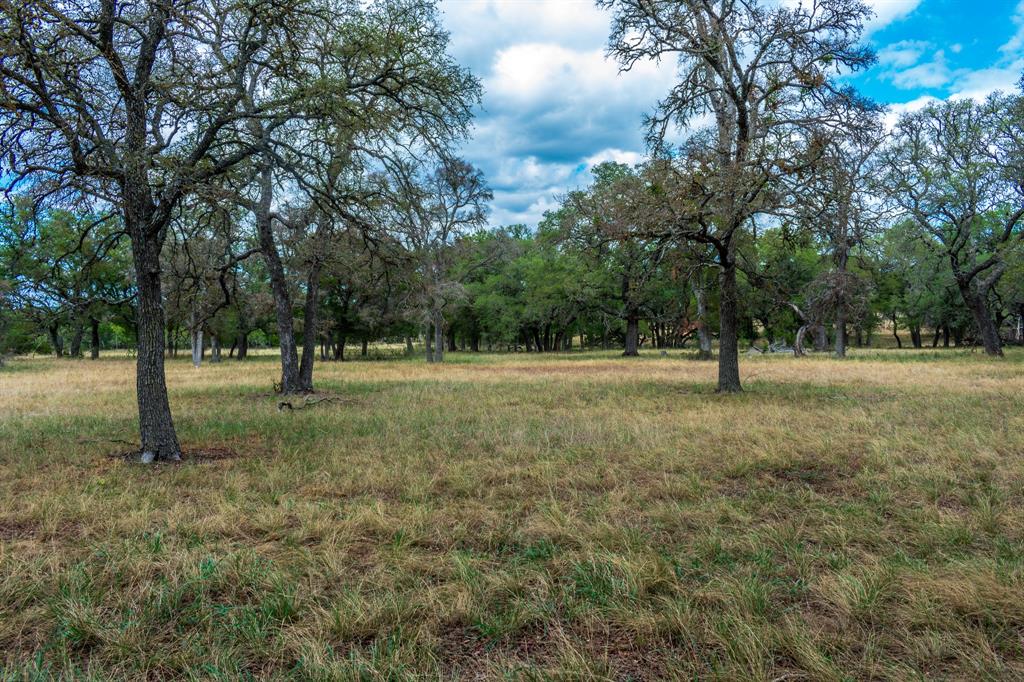 920 Blackbuck Ridge Drive Property Photo 20