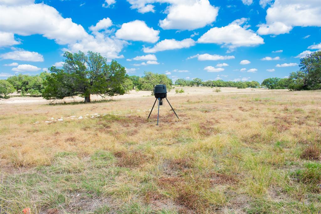 920 Blackbuck Ridge Drive Property Photo 23