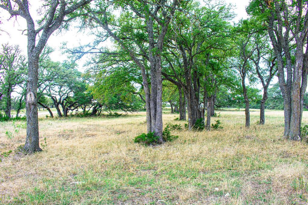 920 Blackbuck Ridge Drive Property Photo 26