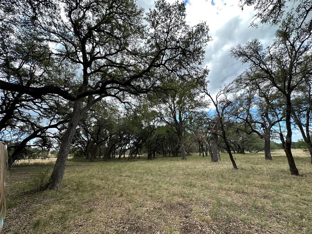 920 Blackbuck Ridge Drive Property Photo 32
