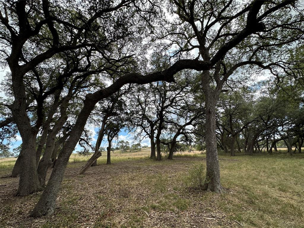 920 Blackbuck Ridge Drive Property Photo 33