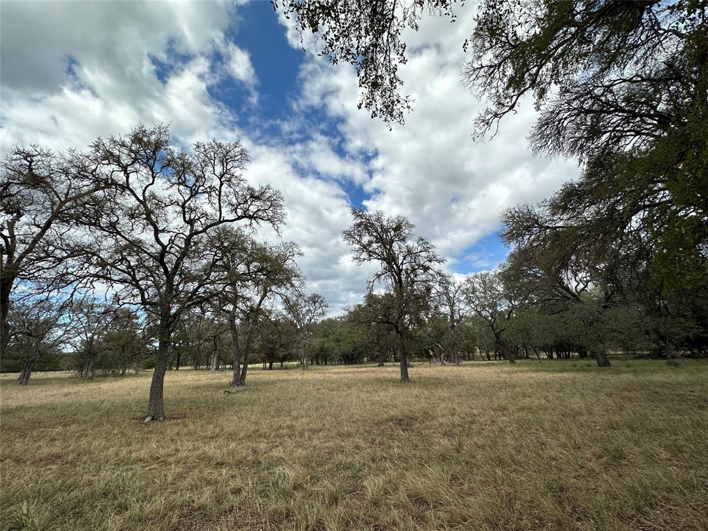 920 Blackbuck Ridge Drive Property Photo 34