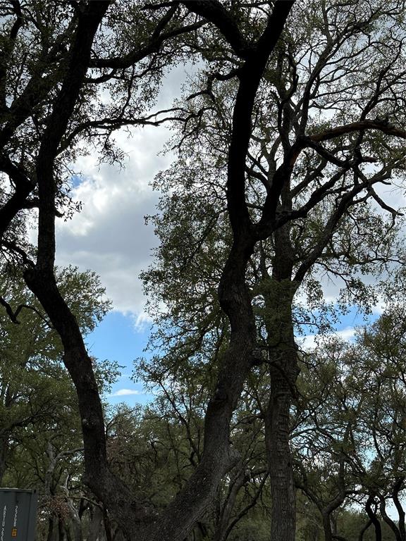 920 Blackbuck Ridge Drive Property Photo 36