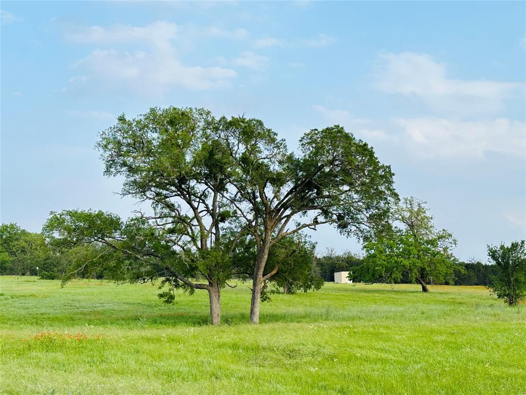 320 S Waterbuck Way Property Photo 12