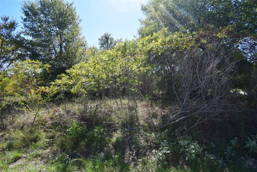 1131 Bora Bora Street Property Photo 2