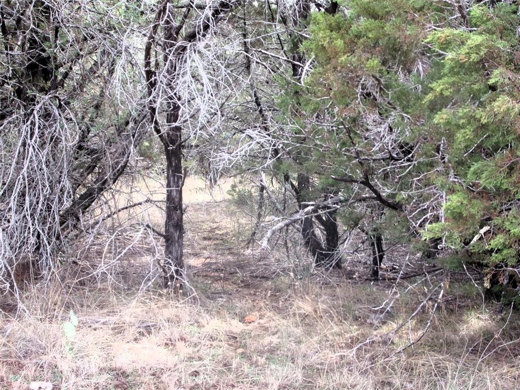 Unknow Cr 310 Property Photo 12