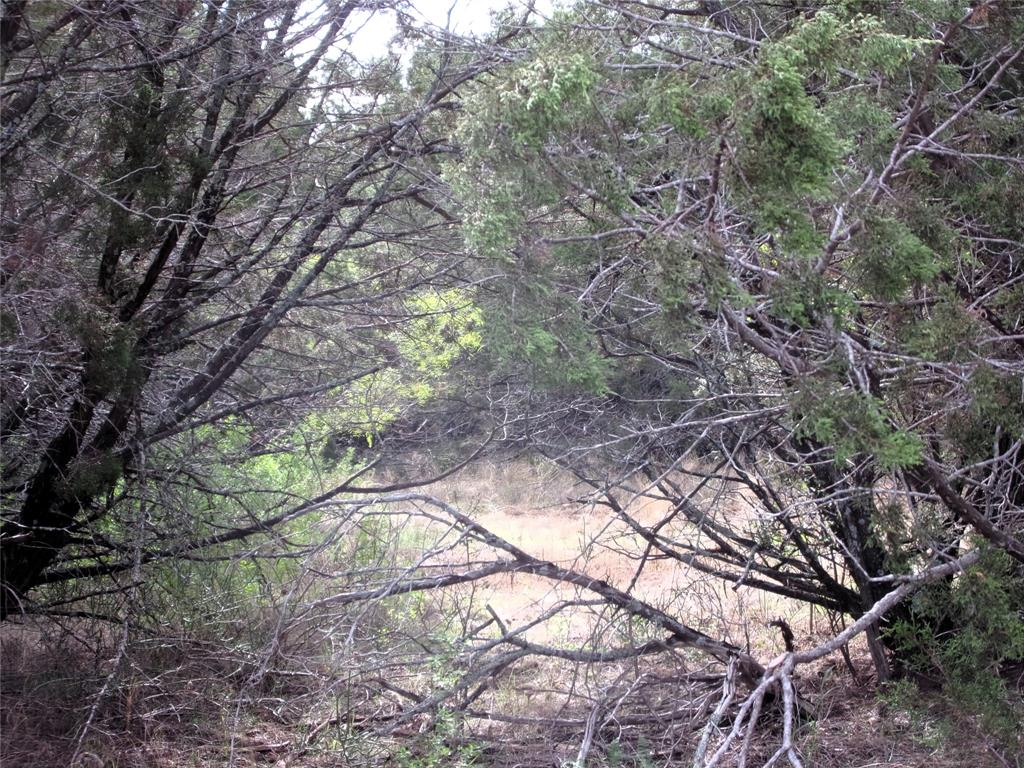 Unknow Cr 310 Property Photo 13