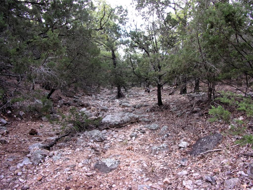 Unknow Cr 310 Property Photo 18