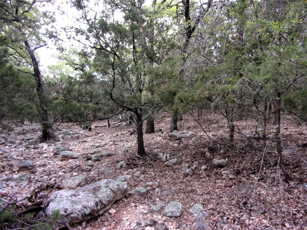 Unknow Cr 310 Property Photo 19