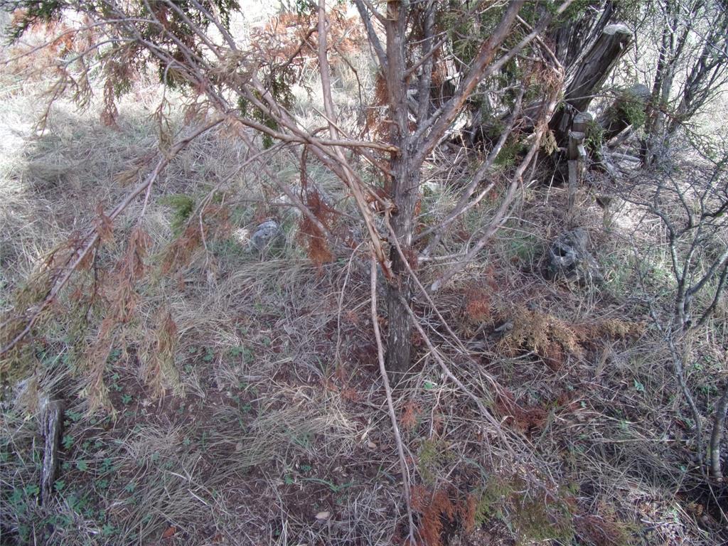 Unknow Cr 310 Property Photo 27
