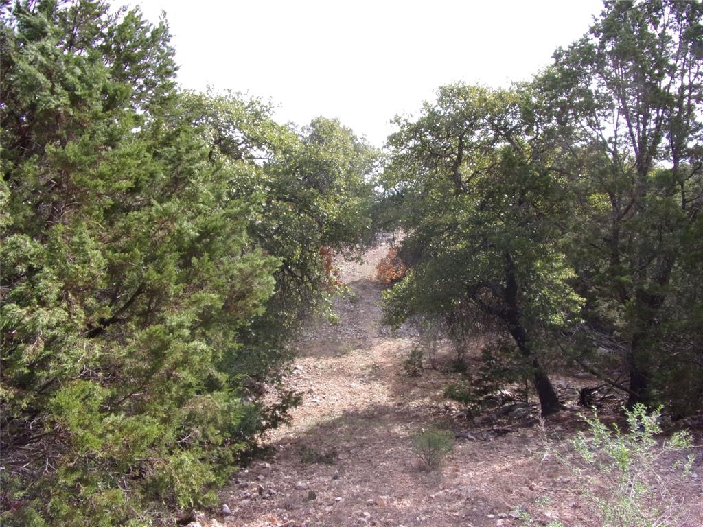 Unknow Cr 310 Property Photo 33