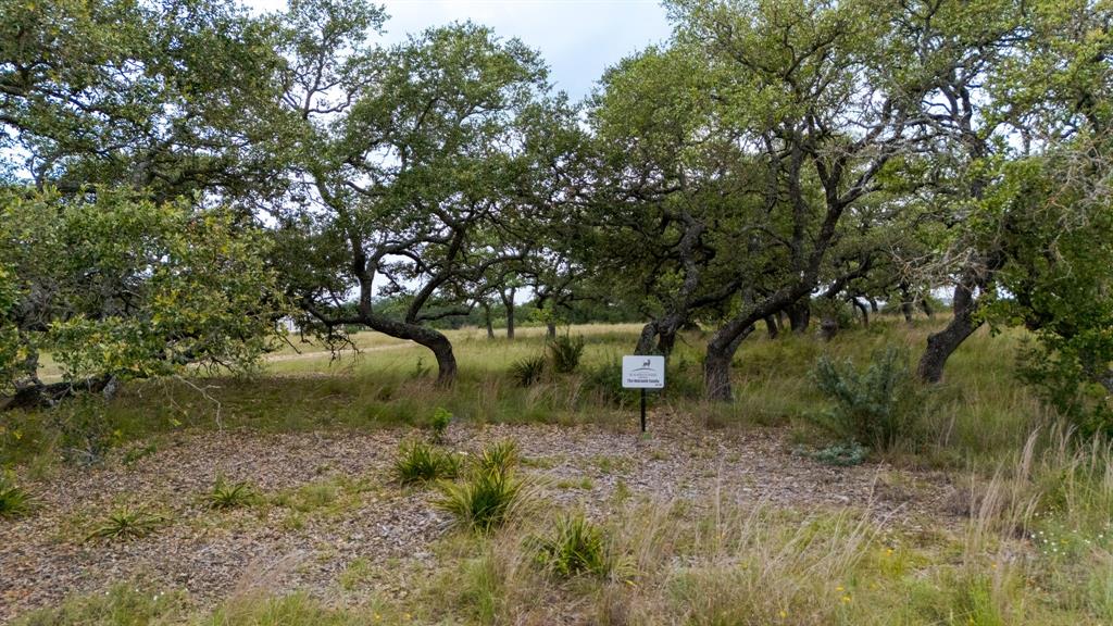 Lot 181 Blackbuck Ridge Drive Property Photo 5