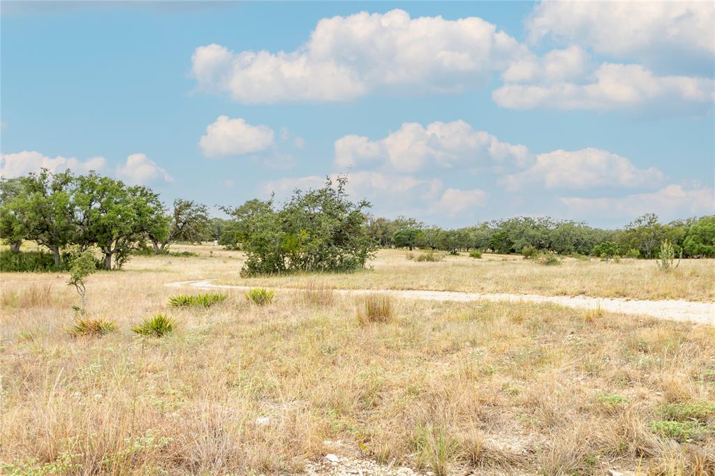 Lot 181 Blackbuck Ridge Drive Property Photo 7