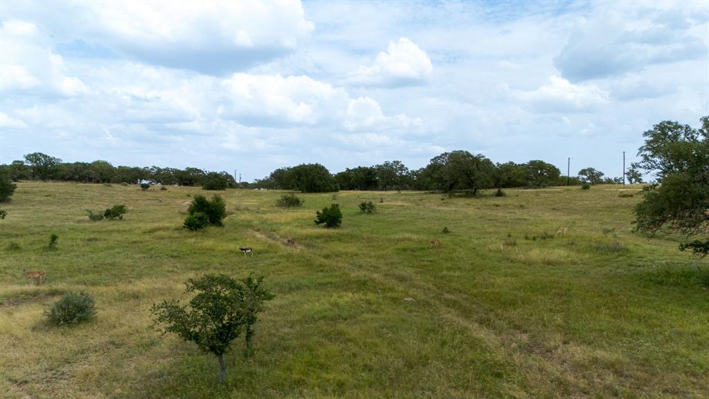 Lot 181 Blackbuck Ridge Drive Property Photo 8