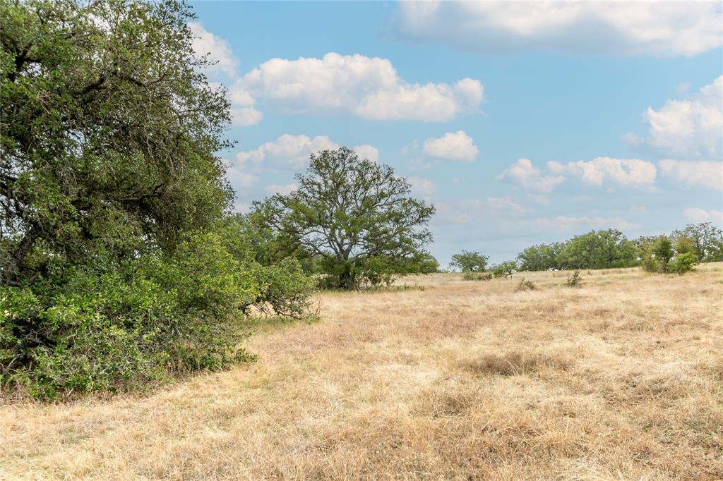 Lot 181 Blackbuck Ridge Drive Property Photo 10