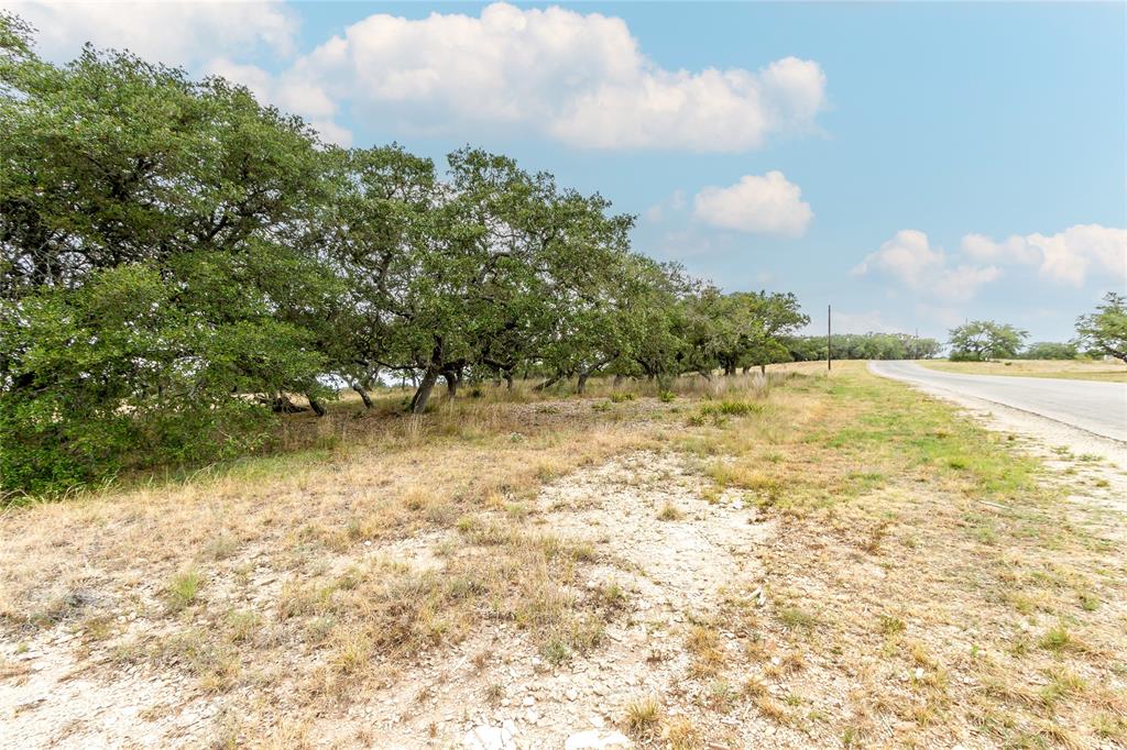 Lot 181 Blackbuck Ridge Drive Property Photo 11