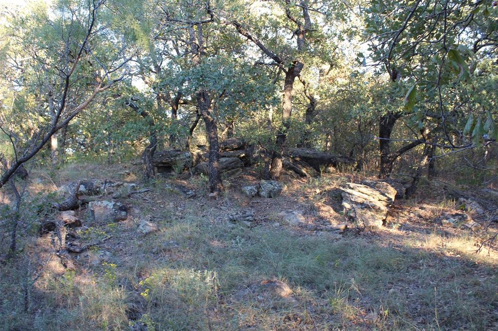 000 Eureka School Road Property Photo 3