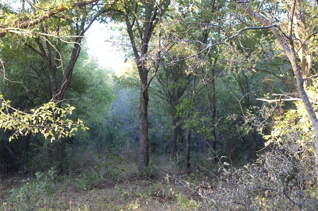 000 Eureka School Road Property Photo 4