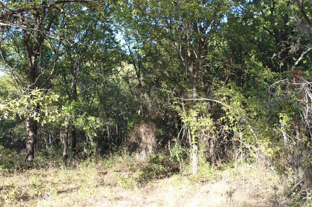 000 Eureka School Road Property Photo 6
