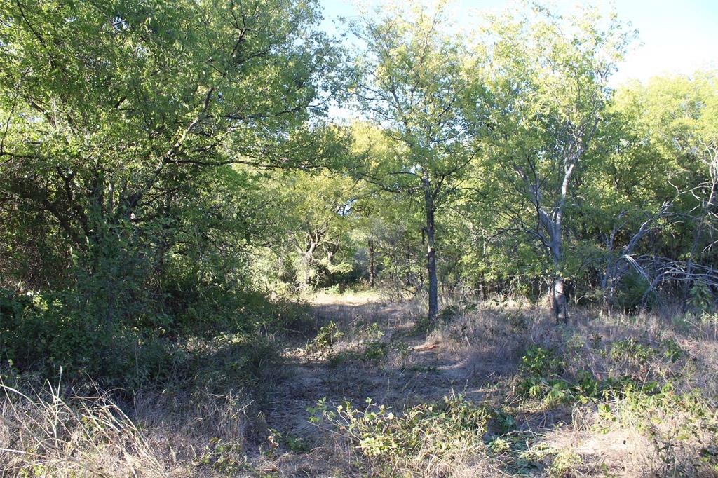 000 Eureka School Road Property Photo 7