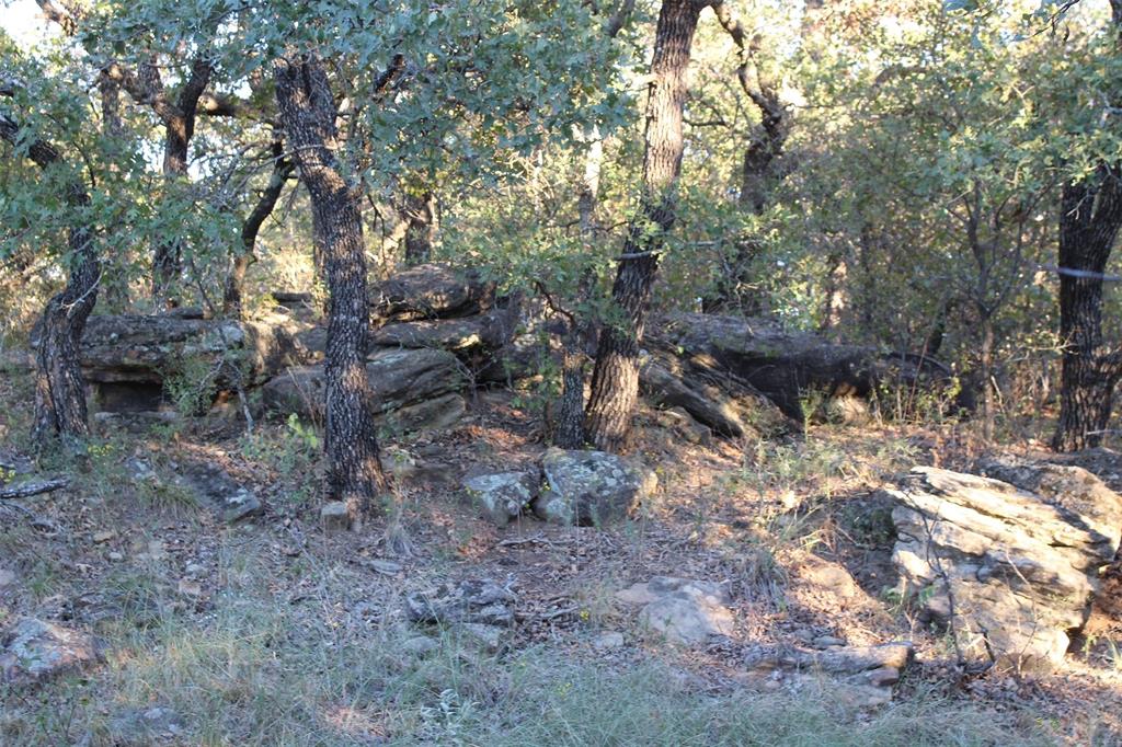 000 Eureka School Road Property Photo 8