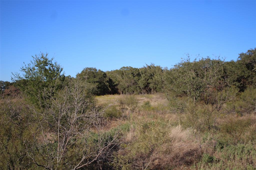 000 Eureka School Road Property Photo 11