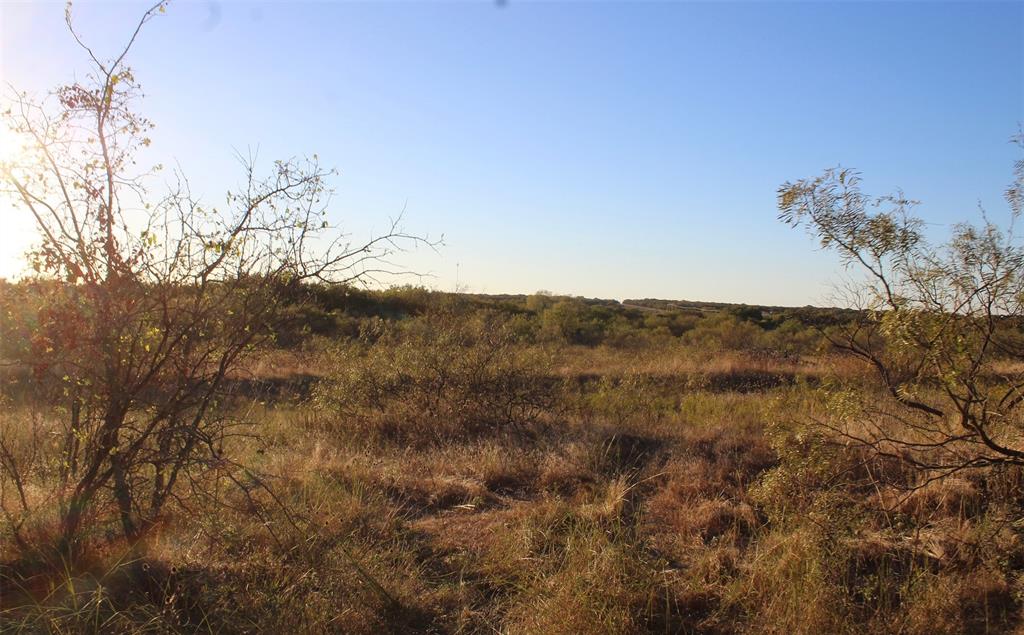 000 Eureka School Road Property Photo 12
