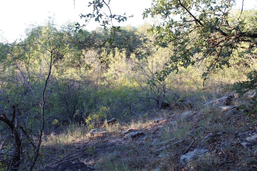 000 Eureka School Road Property Photo 14