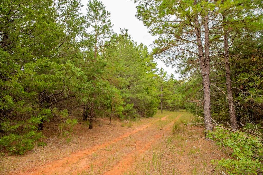 16092 C R 440 Property Photo