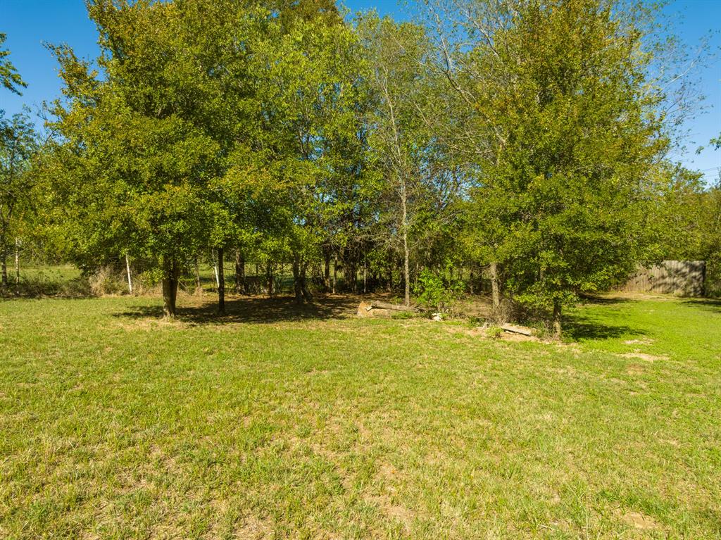 1335 E Milam Street Property Photo 34
