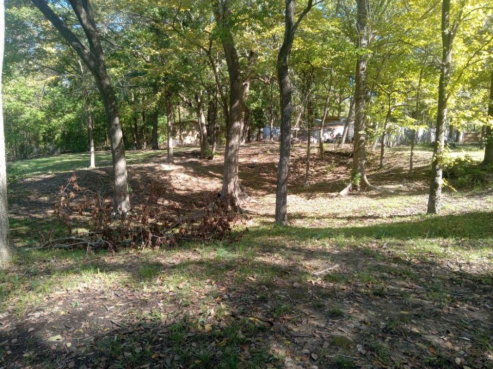 240 Loving Lane Property Photo 7