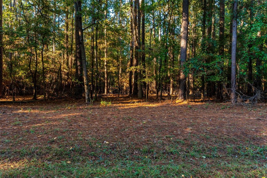 Tbd Wildwood Trail Property Photo 1