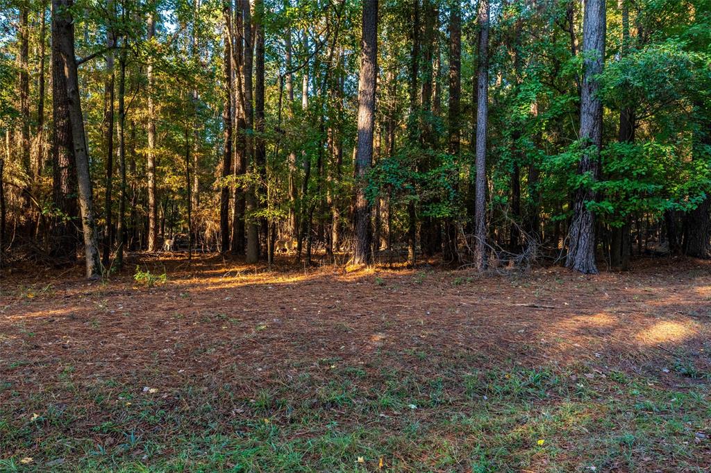 Tbd Wildwood Trail Property Photo 5
