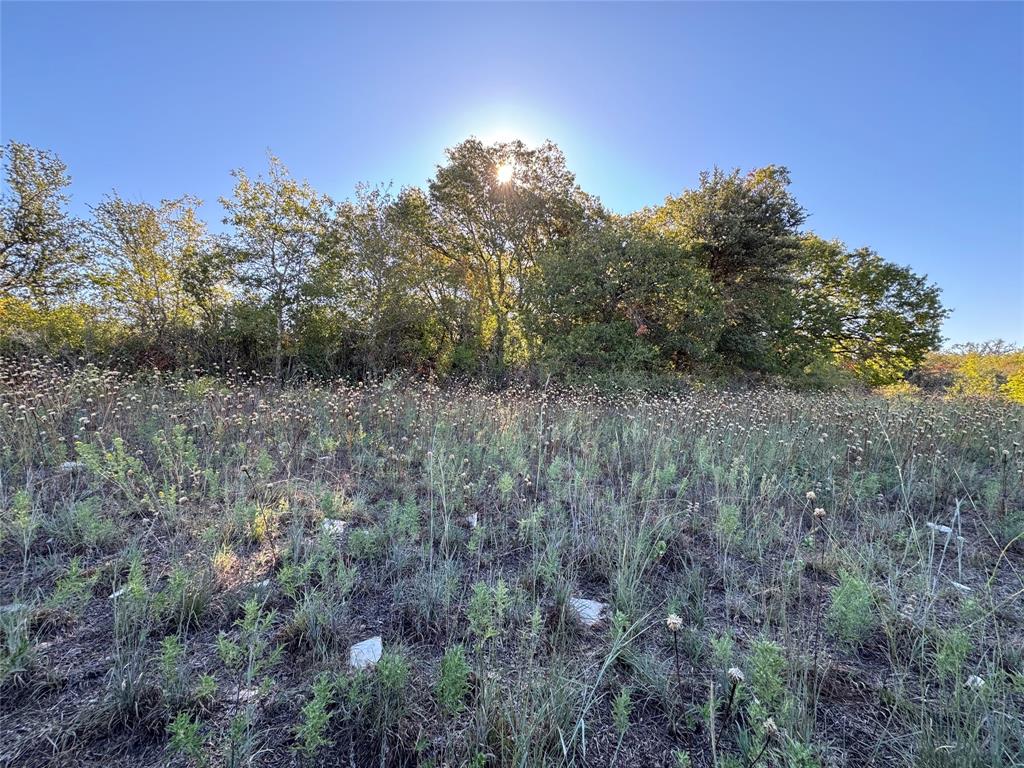 Tbd Mason Court Property Photo 1