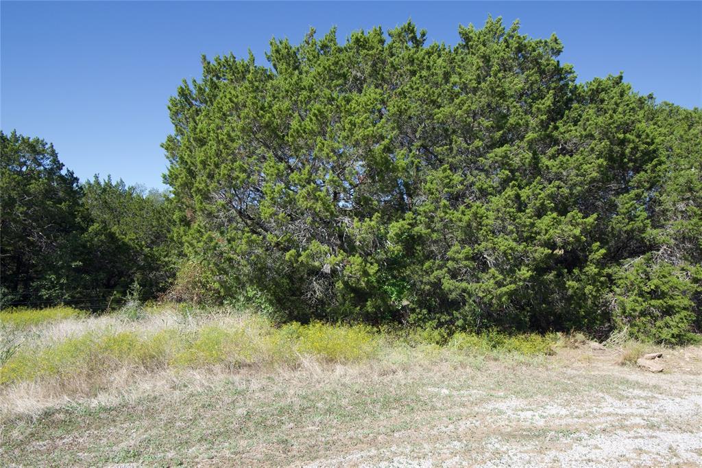 11055 Juniper Court Property Photo 1