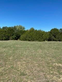 1637 Fawn Court Property Photo 5